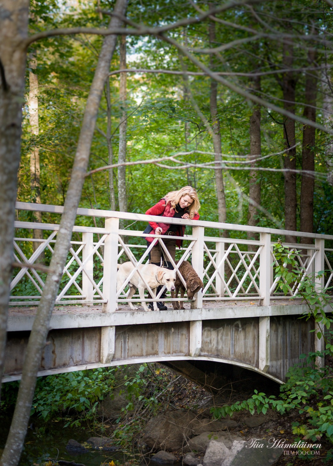 Auroranpuisto Maisemaonnellinen 