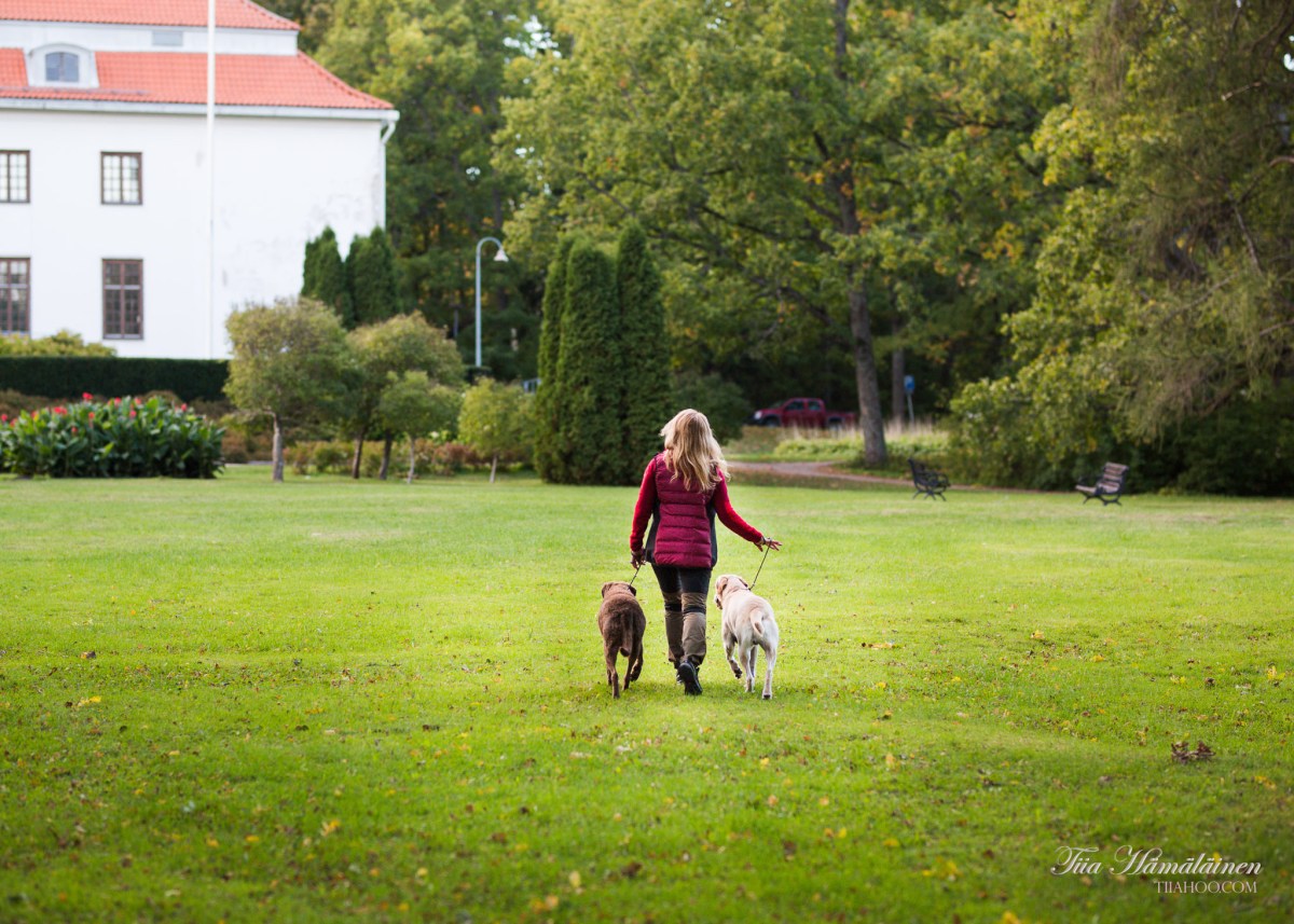 Auroranpuisto Maisemaonnellinen