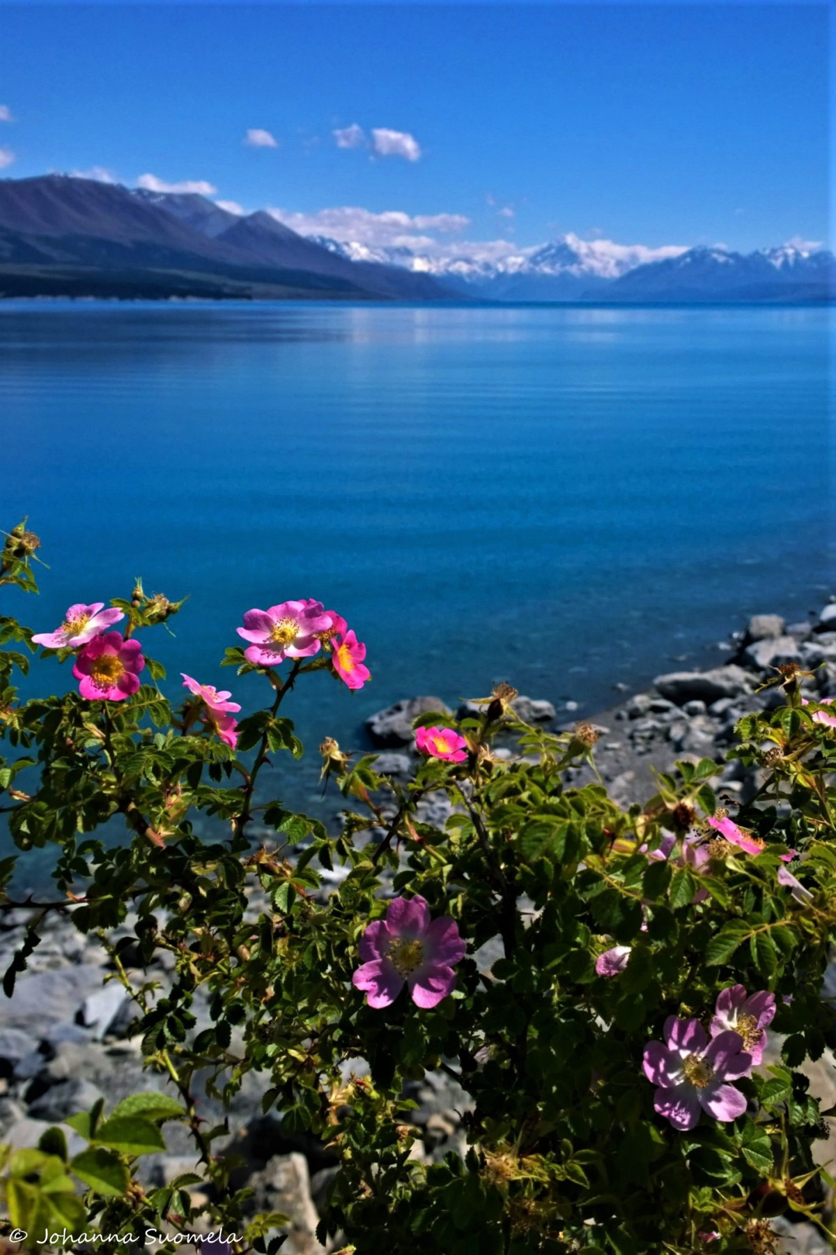 Uusi-Seelanti Lake Pukaki