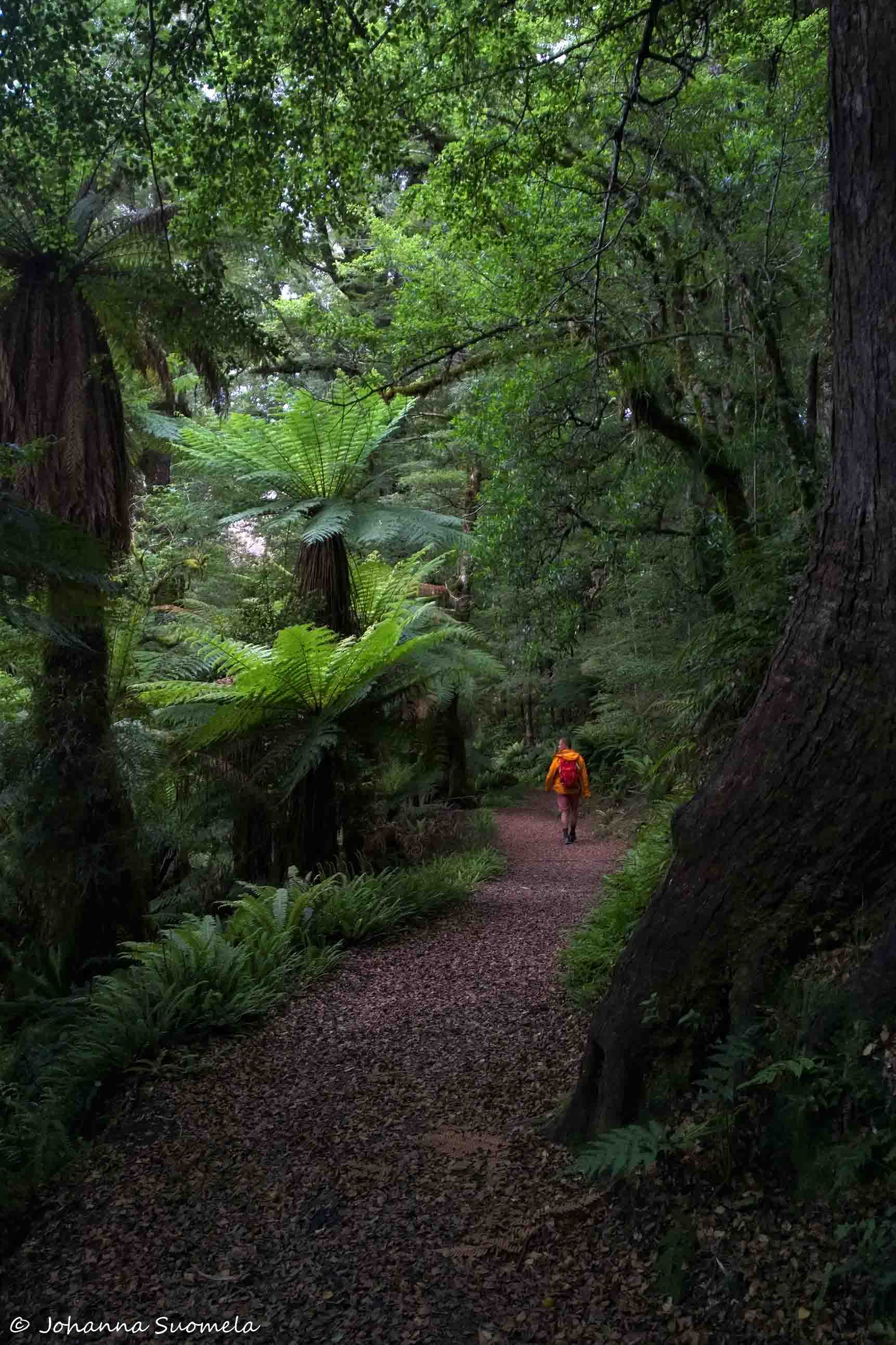 Te Urewera