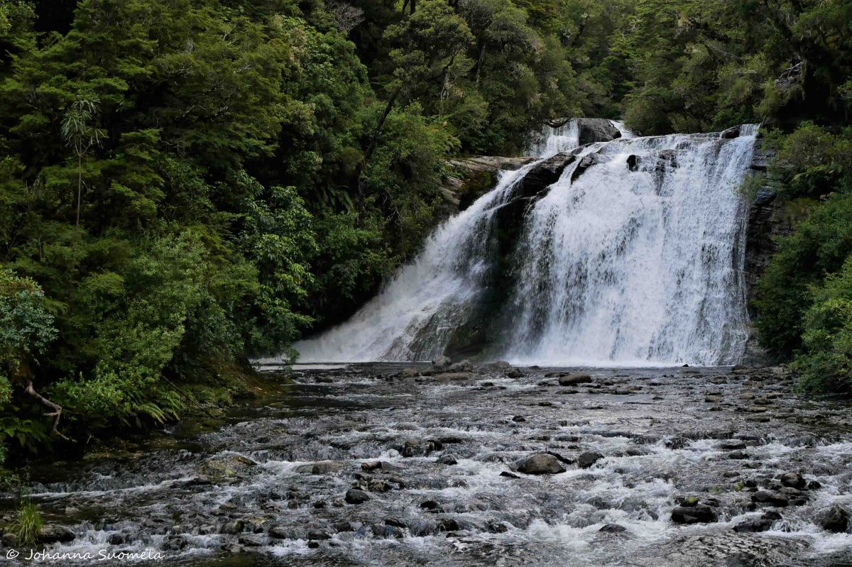 Te Urewera Aniwaniva Falls