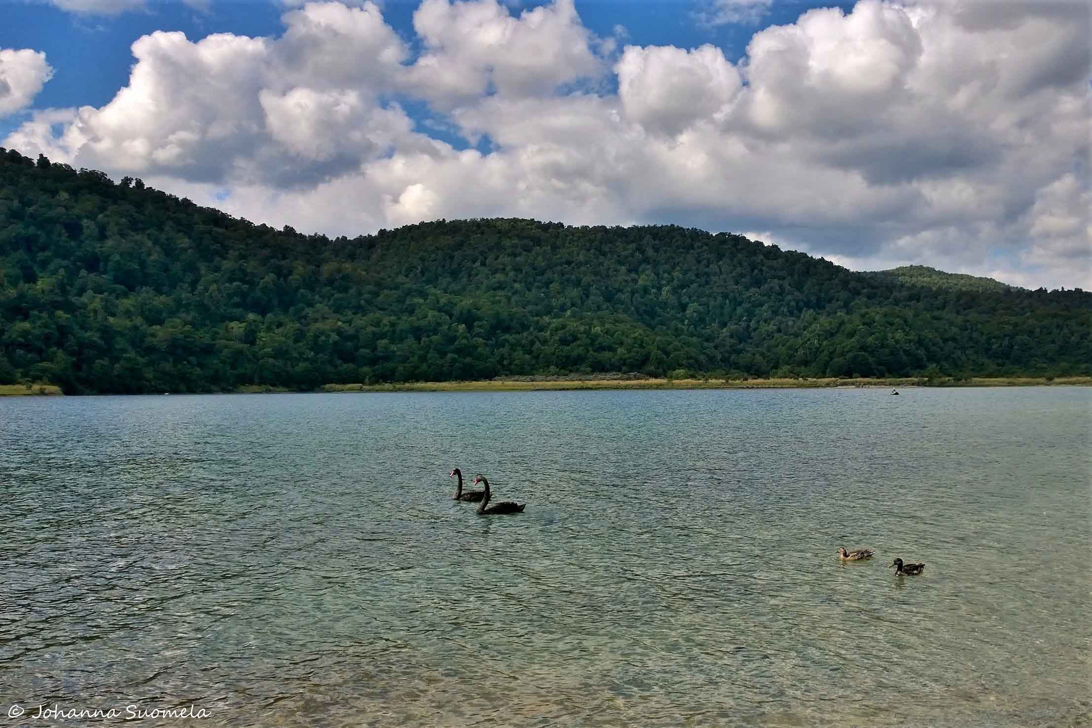 Te Urewera Lake Waikaremoana