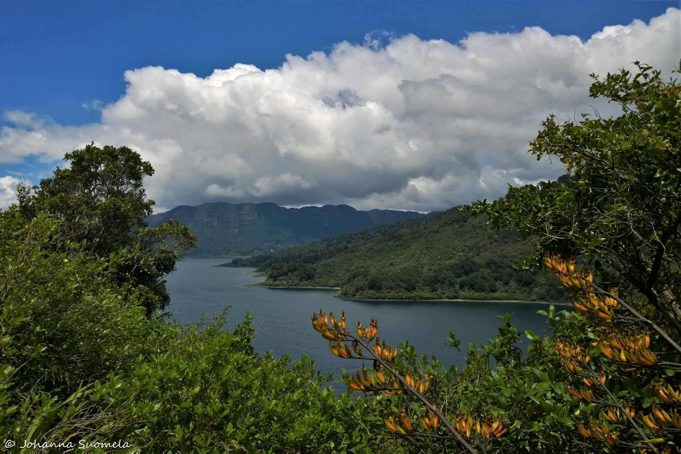 Te Urewera