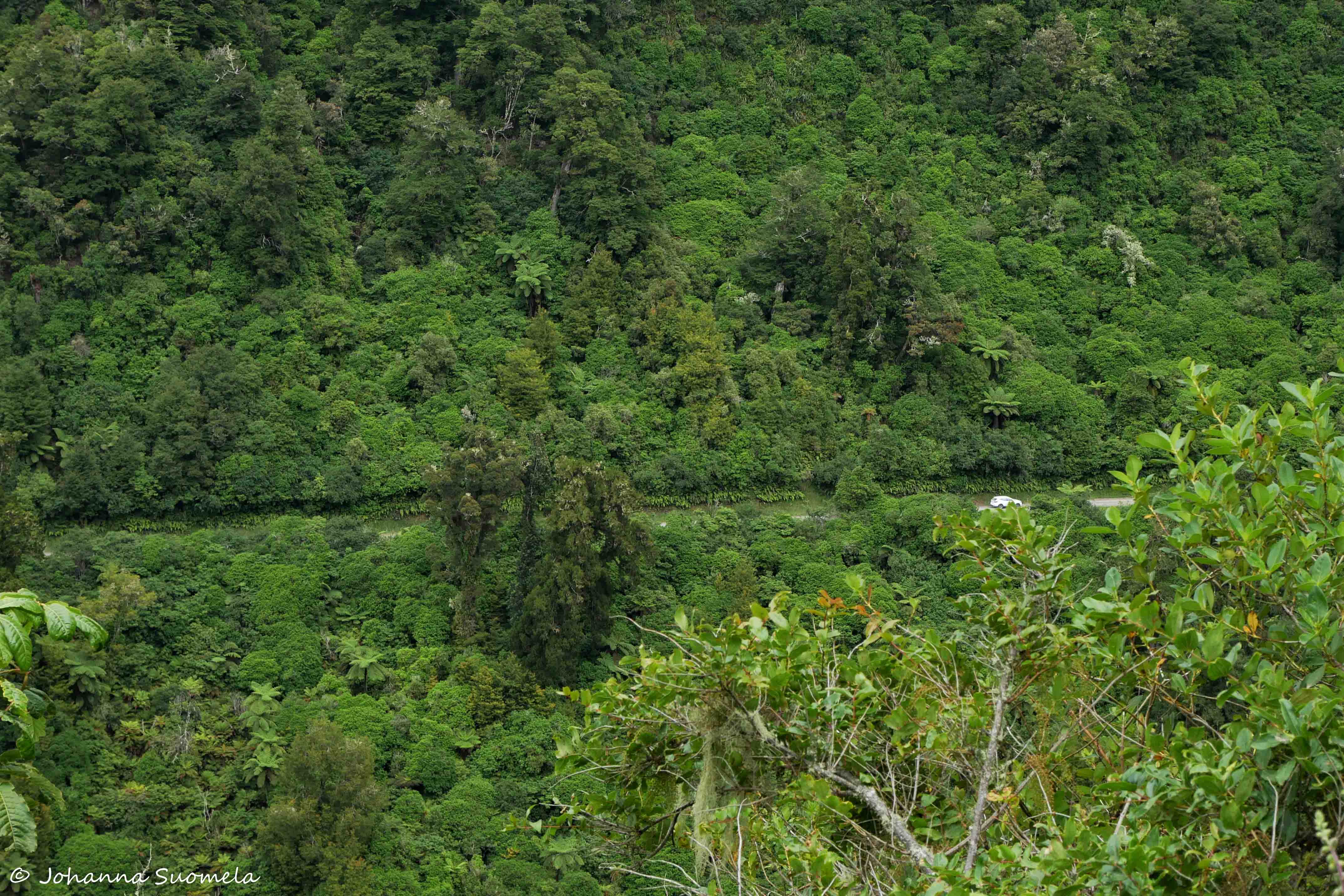 Te Urewera