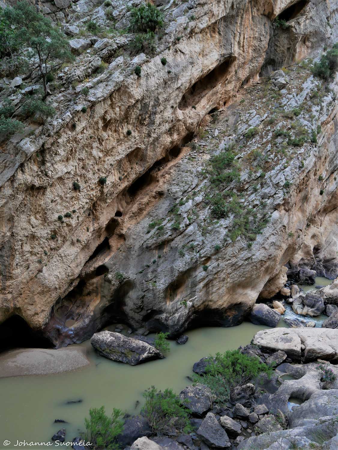 CaminitoDelRey