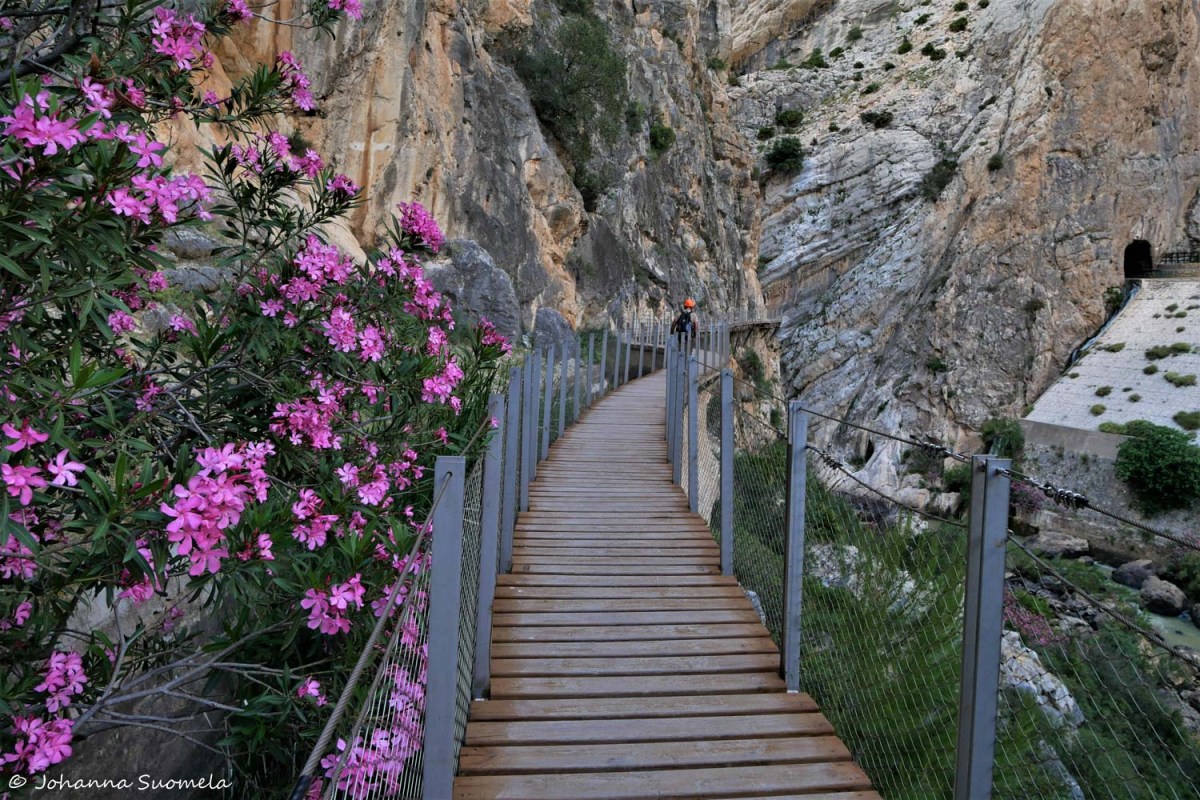 CaminitoDelRey