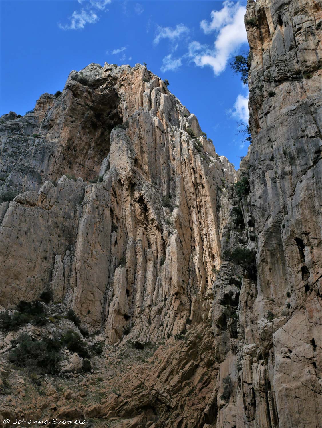 CaminitoDelRey