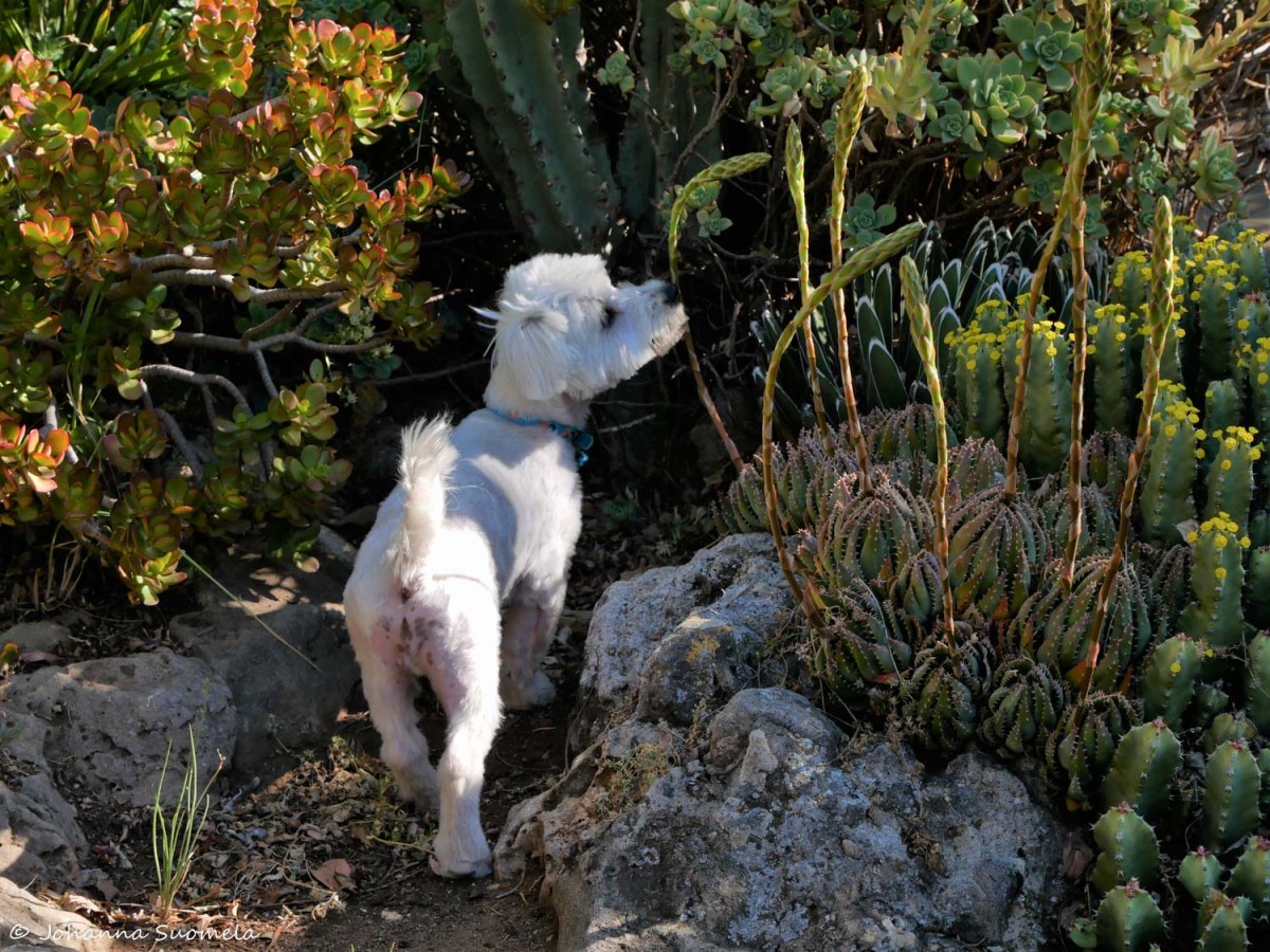 HiddenValleyAndalucia