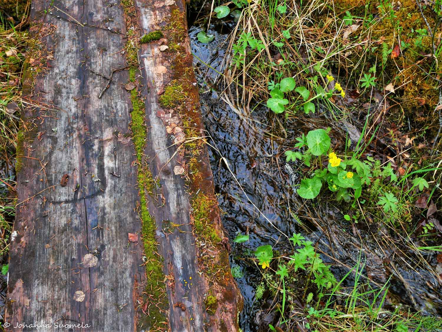 Korvatunturi vaellus UKK-puisto