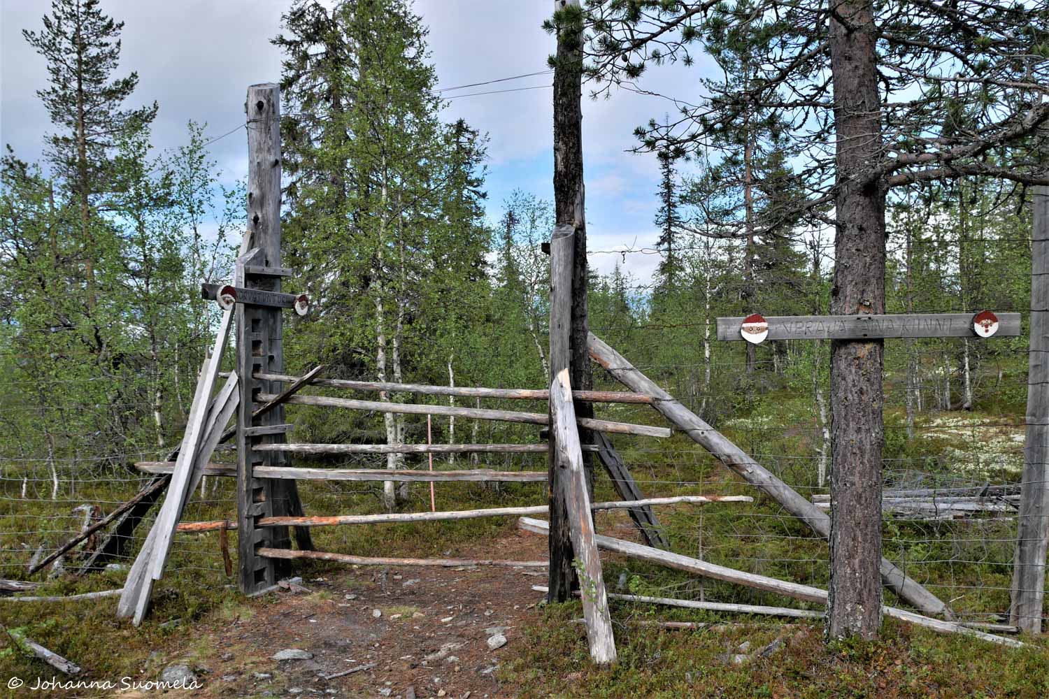 Korvatunturi vaellus UKK-puisto