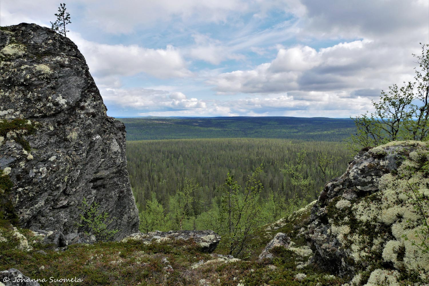 Korvatunturi vaellus UKK-puisto