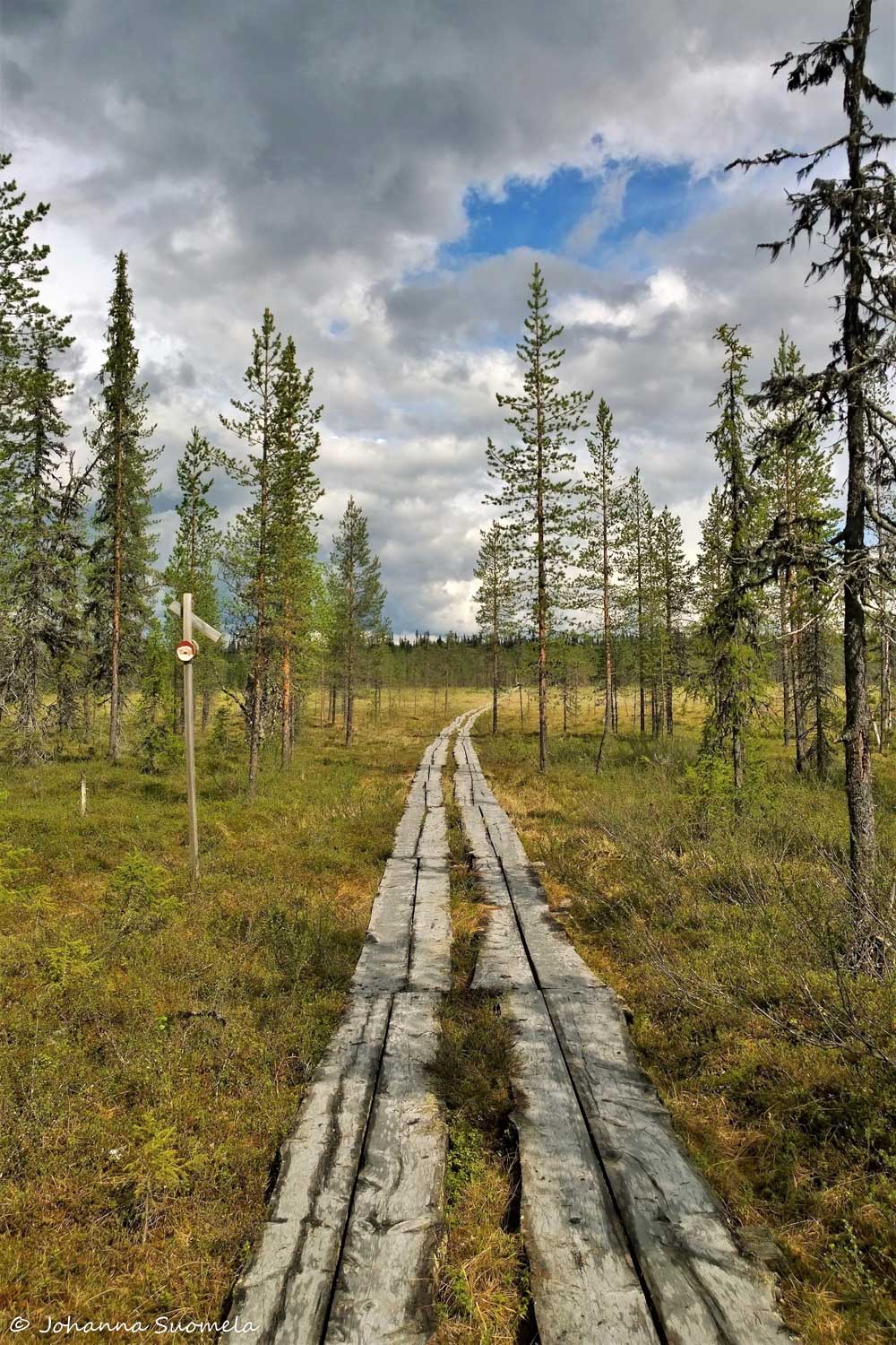 Korvatunturi Kemihaara UKK-puisto