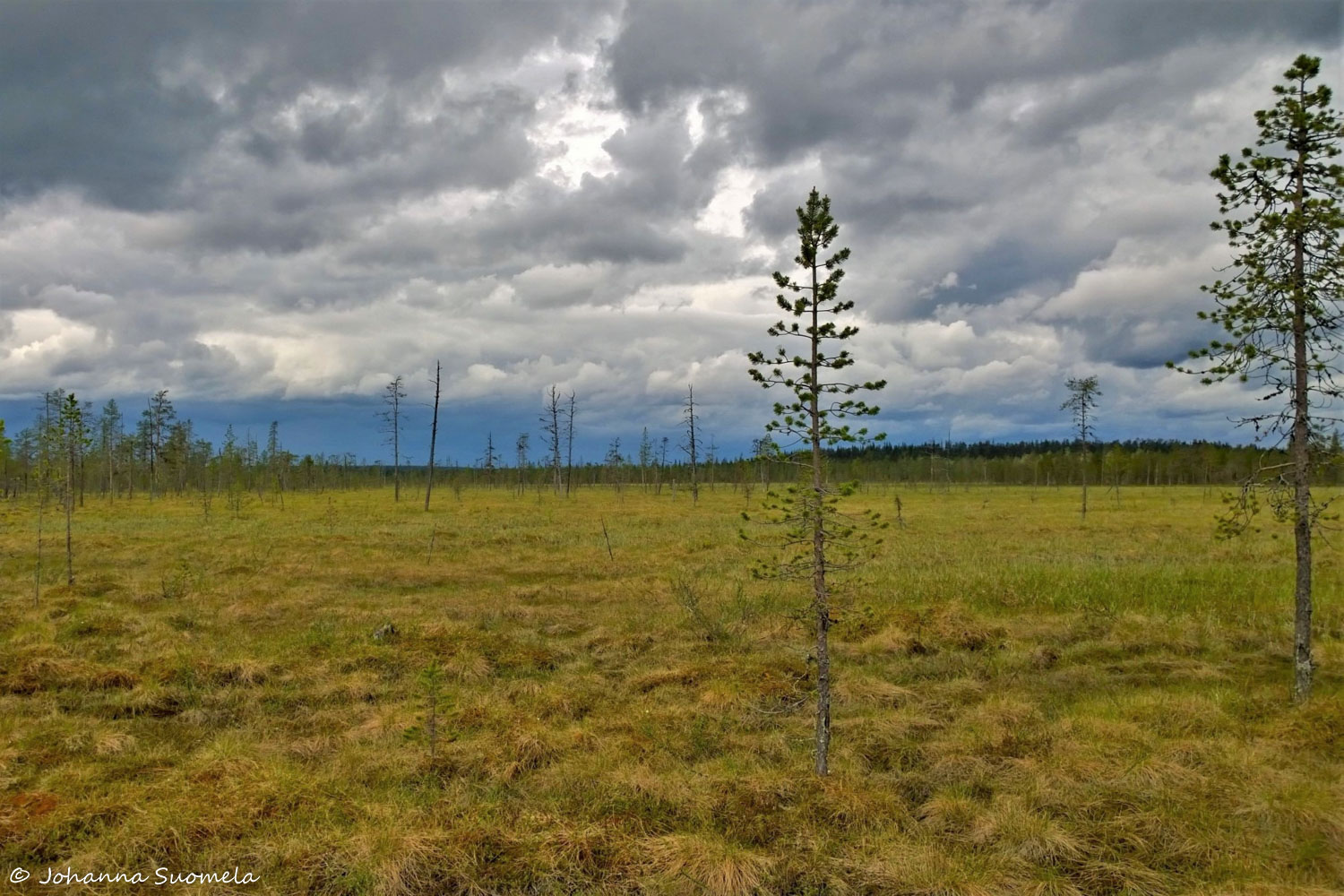 Korvatunturi Kemihaara UKK-puisto