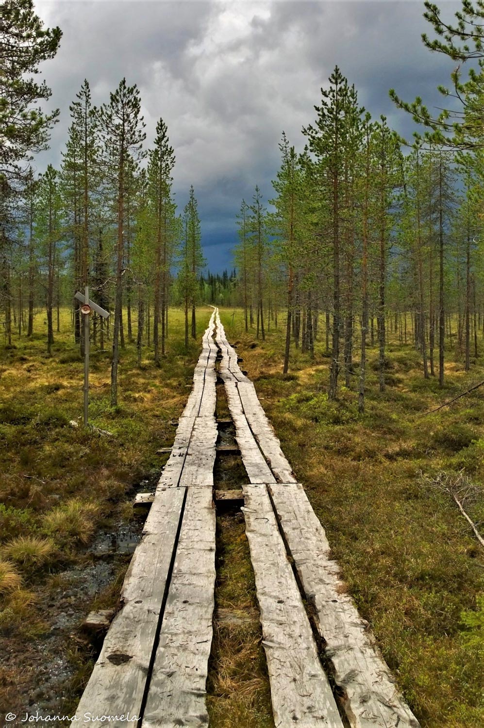Korvatunturi Kemihaara UKK-puisto