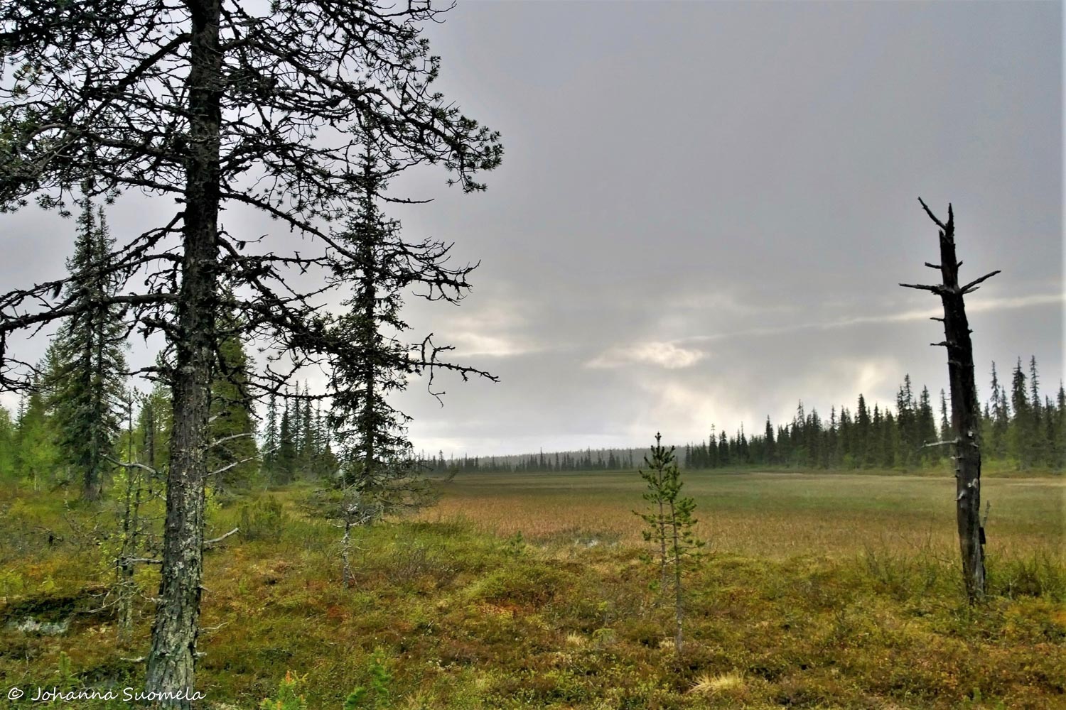 Korvatunturi vaellus UKK-puisto