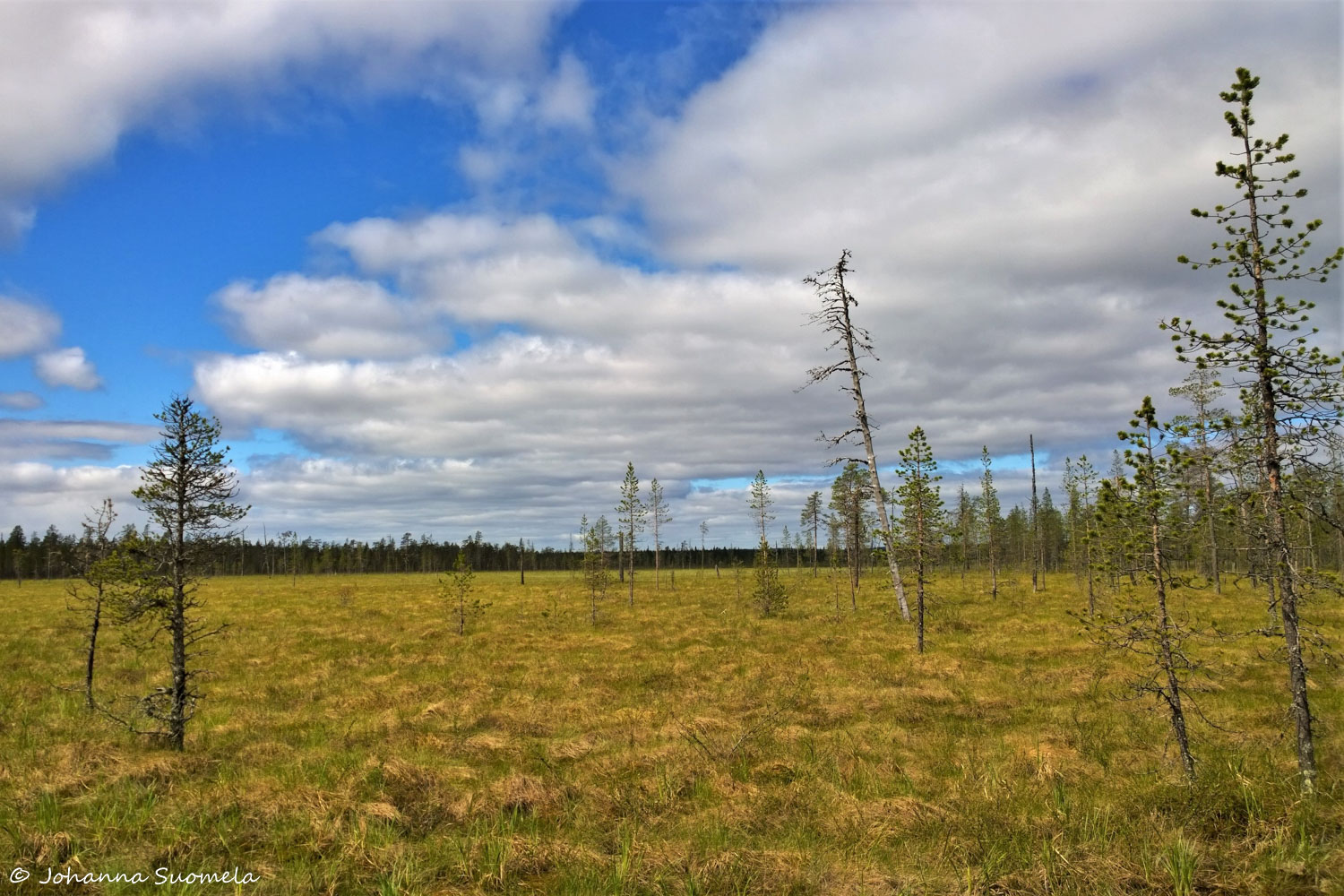 Korvatunturi vaellus UKK-puisto