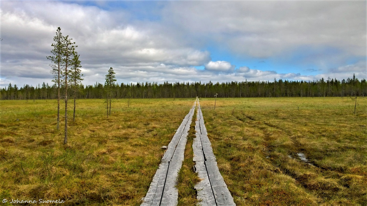 Korvatunturi vaellus UKK-puisto
