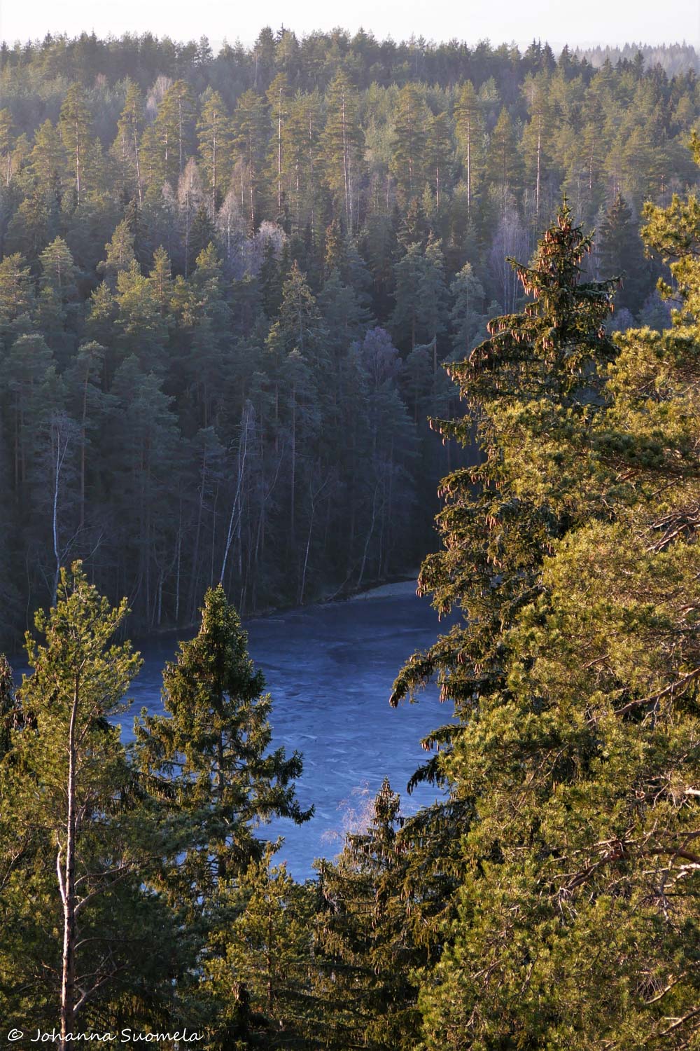 Saaren kansanpuisto Kaukolanharju