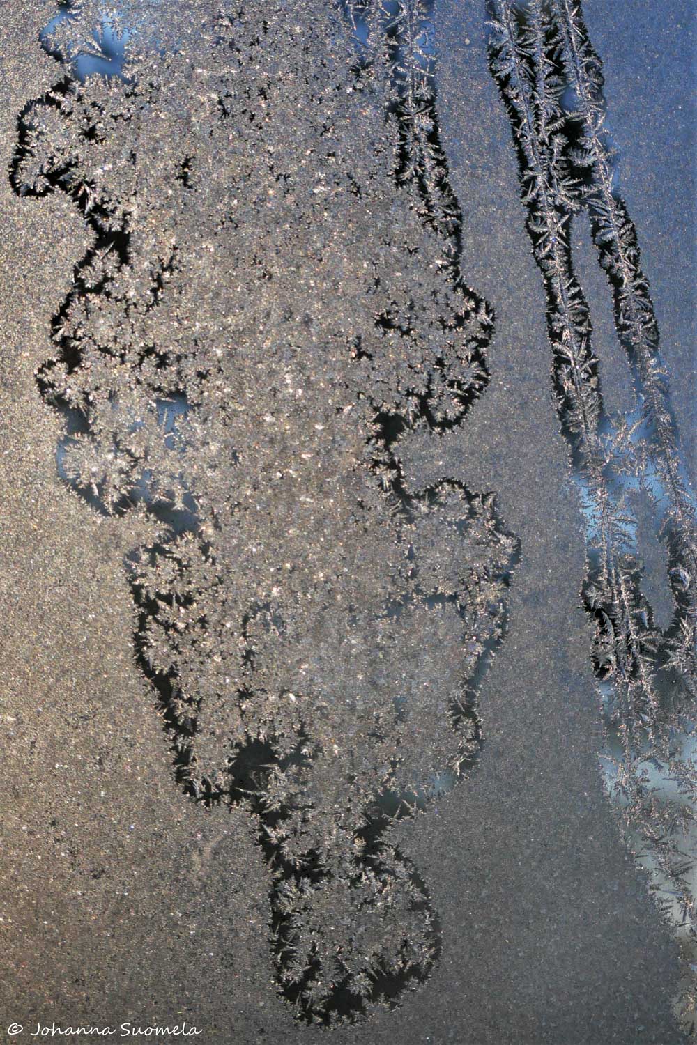 Saaren kansanpuisto näkötorni