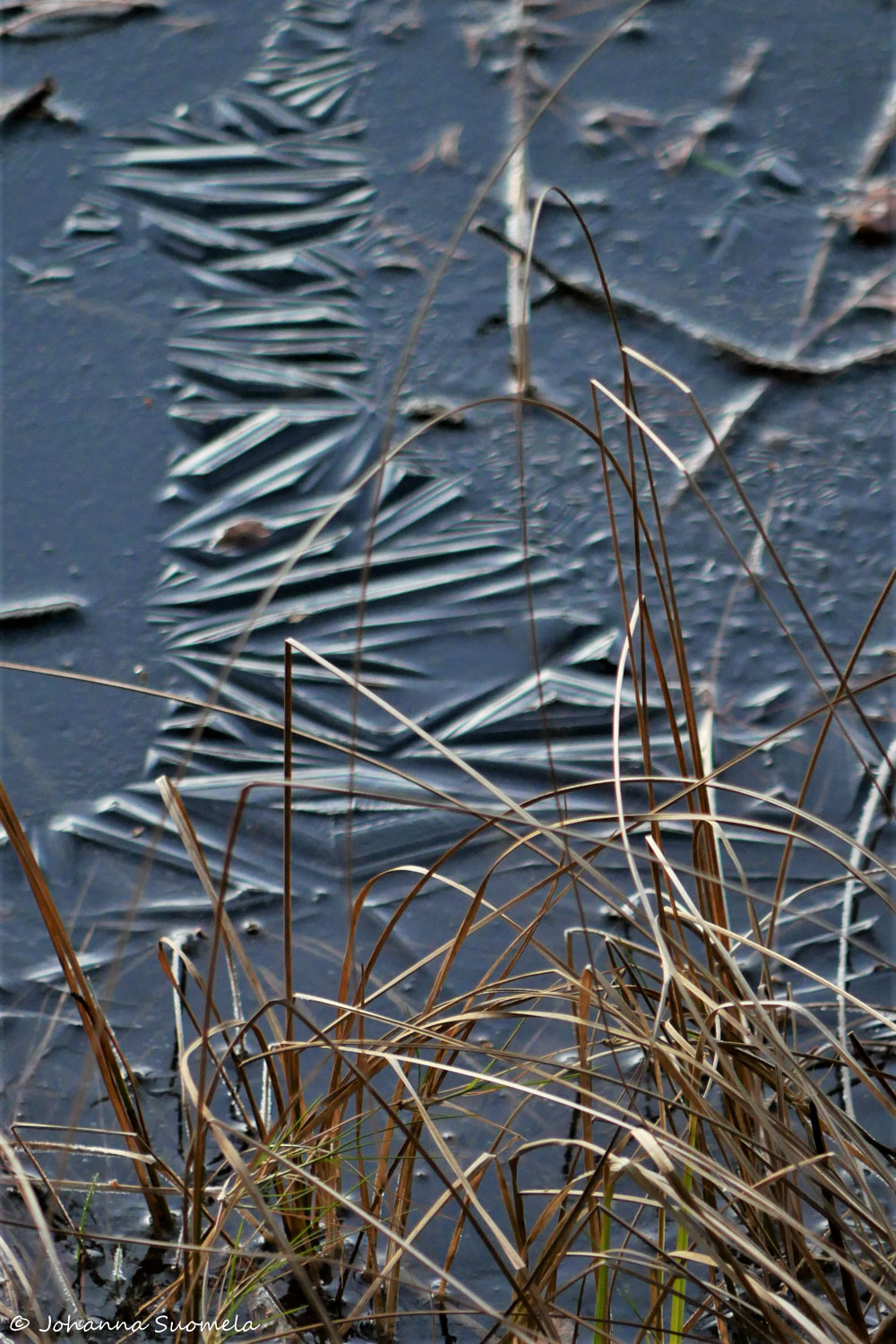 SaarenKansanpuisto1090864