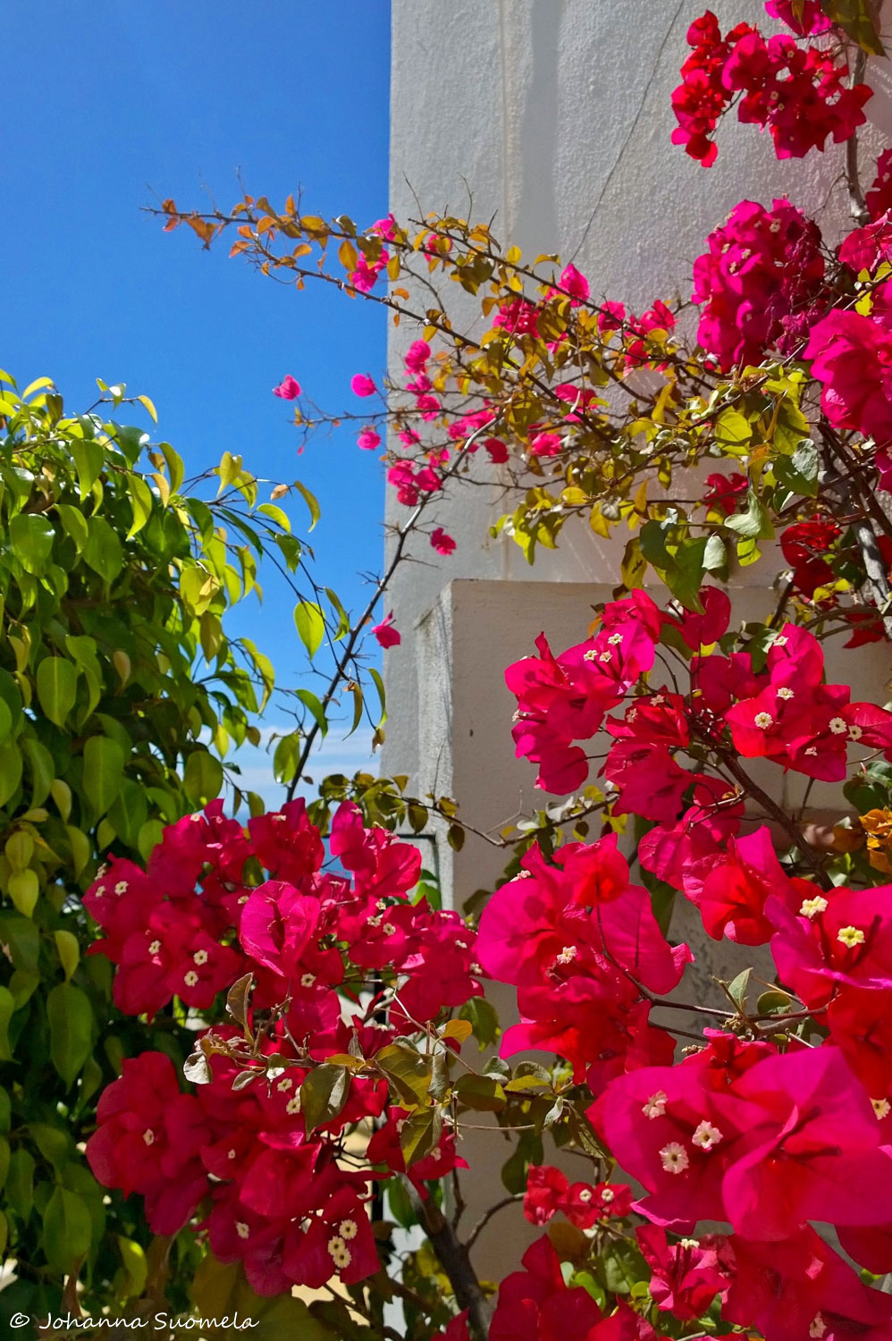 La Fonda Hotel terassi