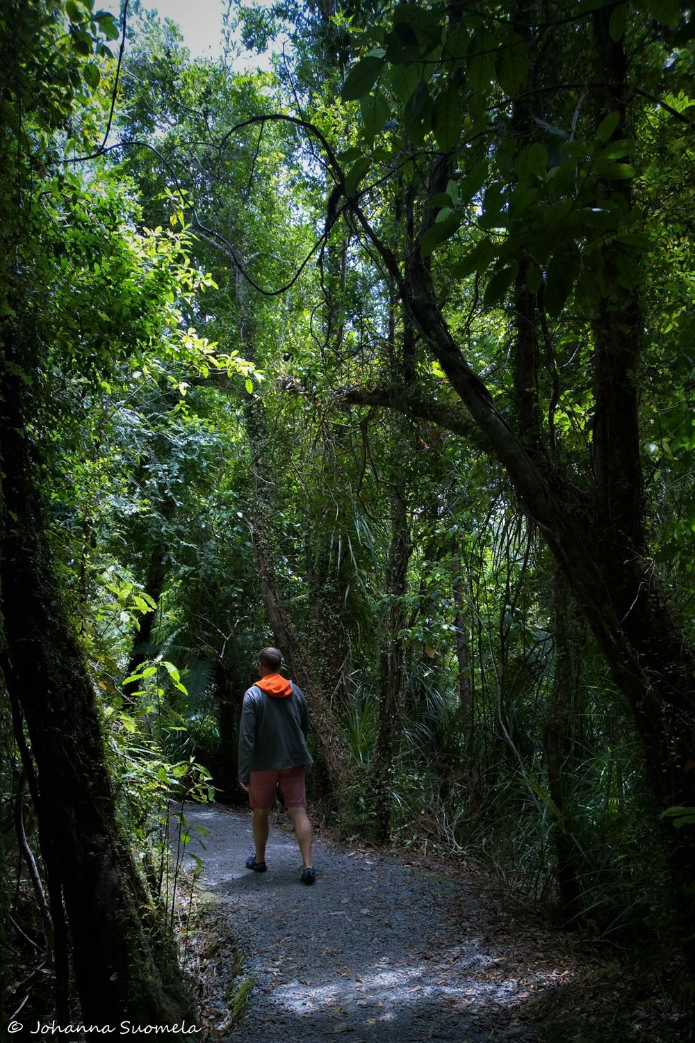 Paparoa Uusi-Seelanti