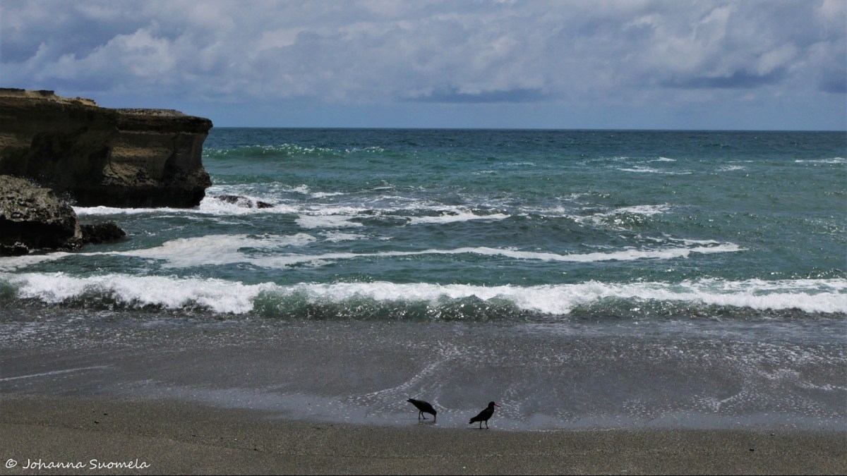 Paparoa Uusi-Seelanti