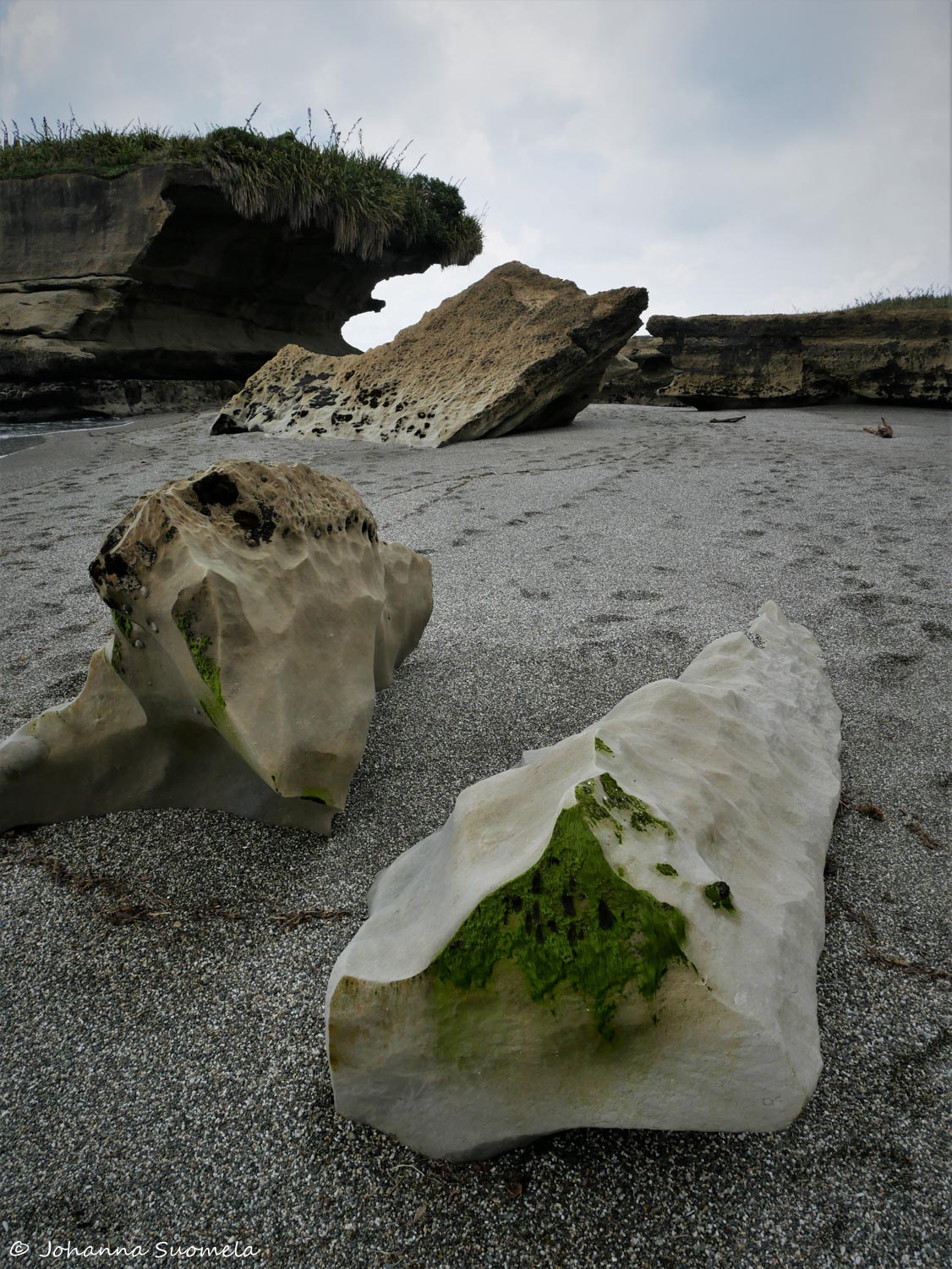 PaparoaUusiSeelanti1010736