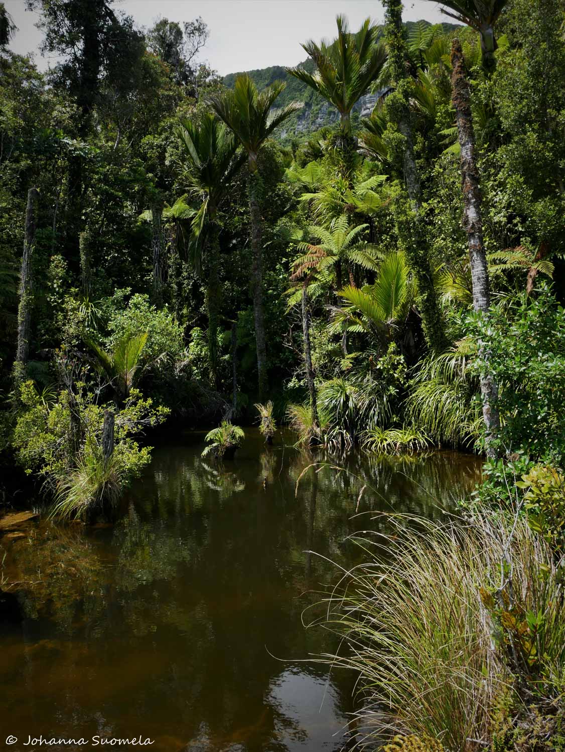 Paparoa Uusi-Seelanti
