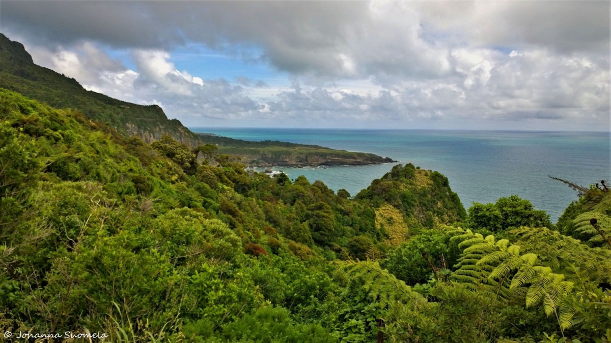 PaparoaUusiSeelanti20181218034555