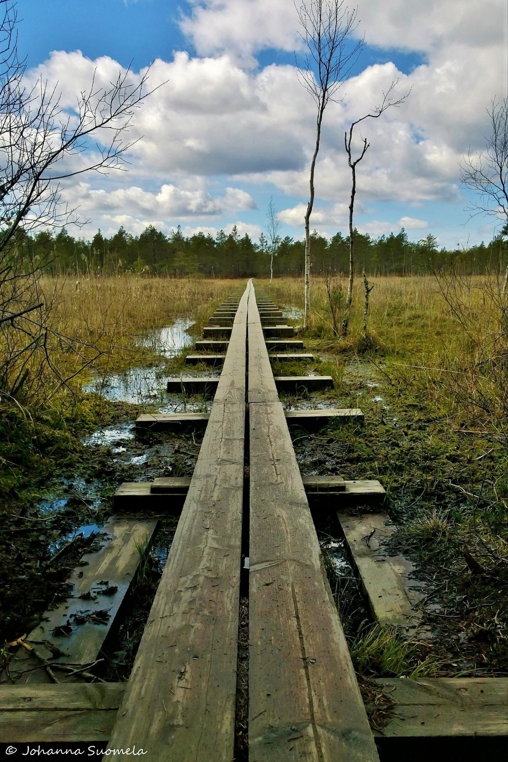 Kurjenrahkan kansallispuisto