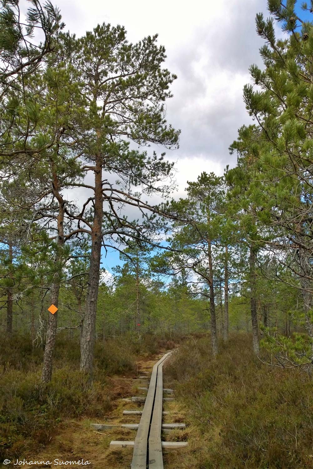 Kurjenrahkan kansallispuisto