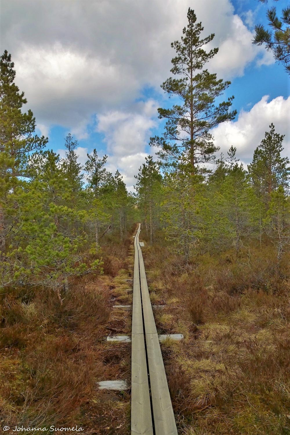 Kurjenrahkan kansallispuisto