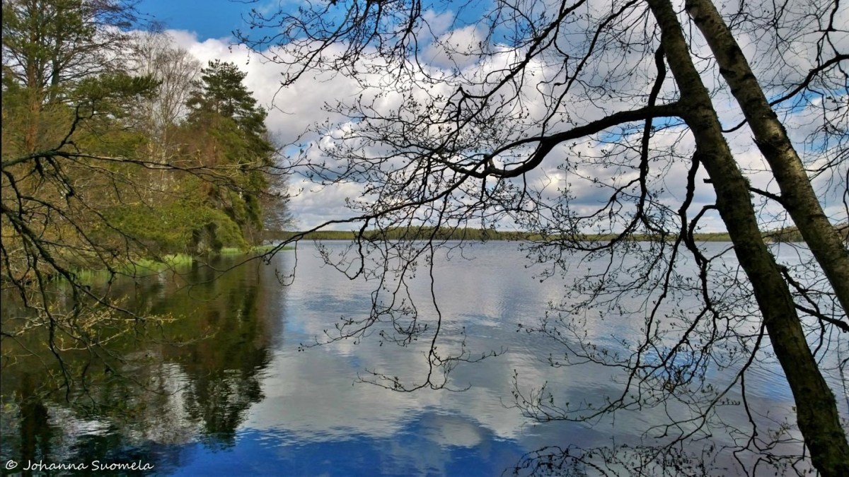 Kurjenrahkan kansallispuisto