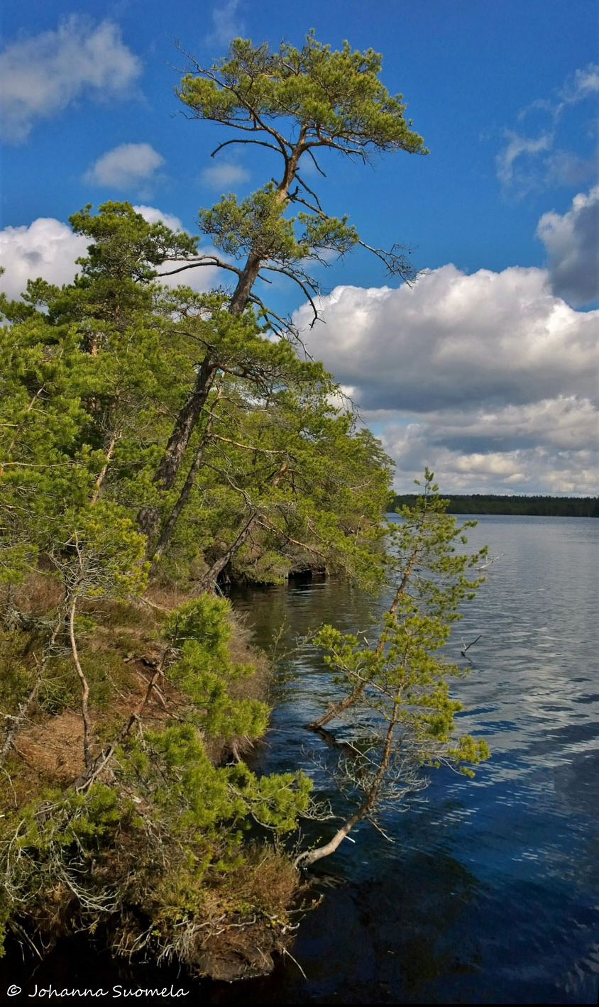 Kurjenrahkan kansallispuisto
