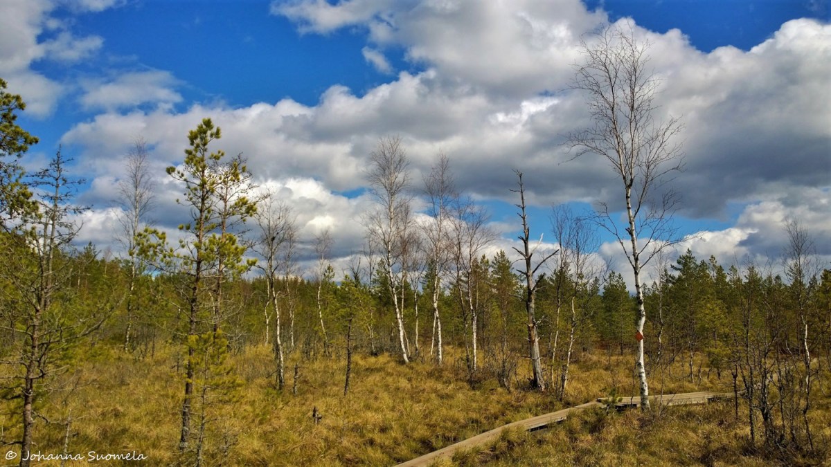 Kurjenrahkan kansallispuisto