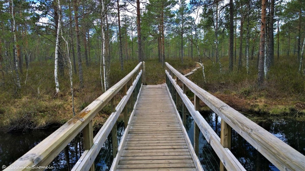 Kurjenrahkan kansallispuisto