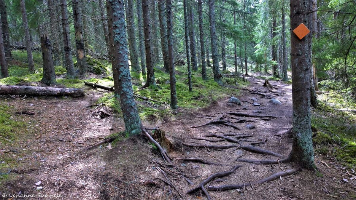 Kurjenrahkan kansallispuisto