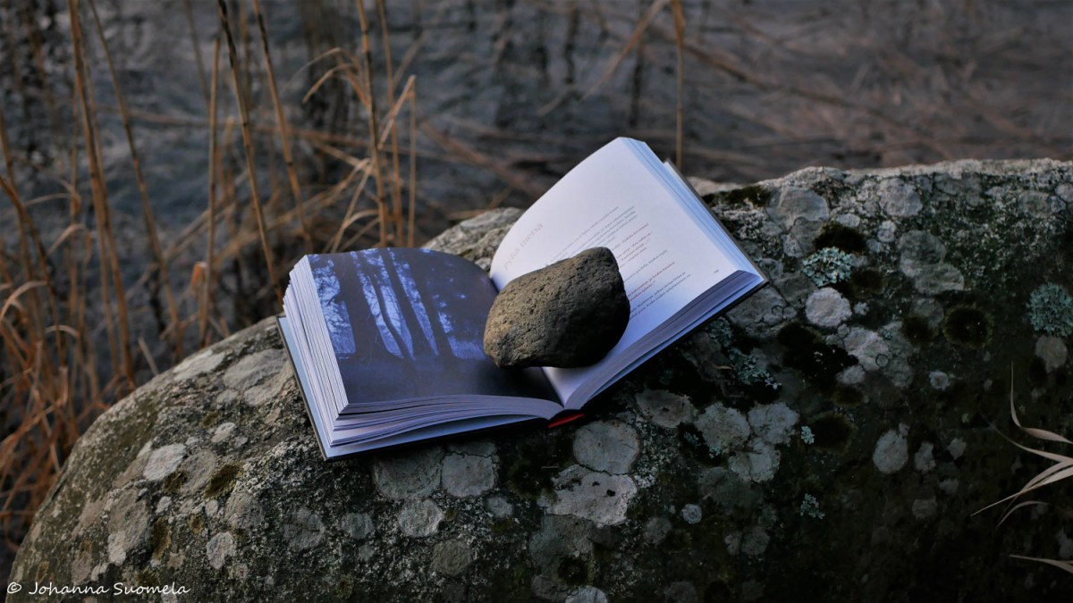 Kivi kukka ja kuu Vesa Heikkinen