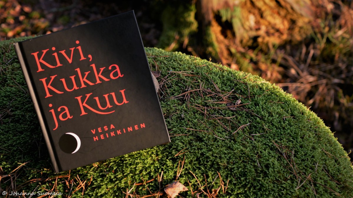Kivi kukka ja kuu Vesa Heikkinen