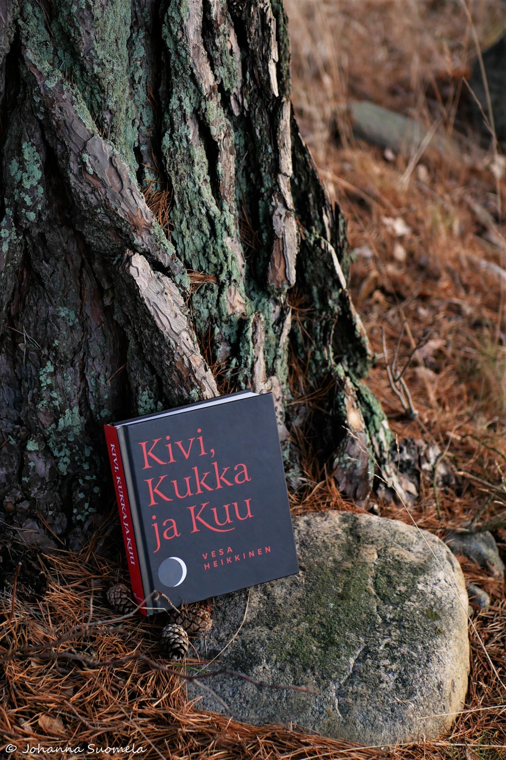 Kivi kukka ja kuu Vesa Heikkinen