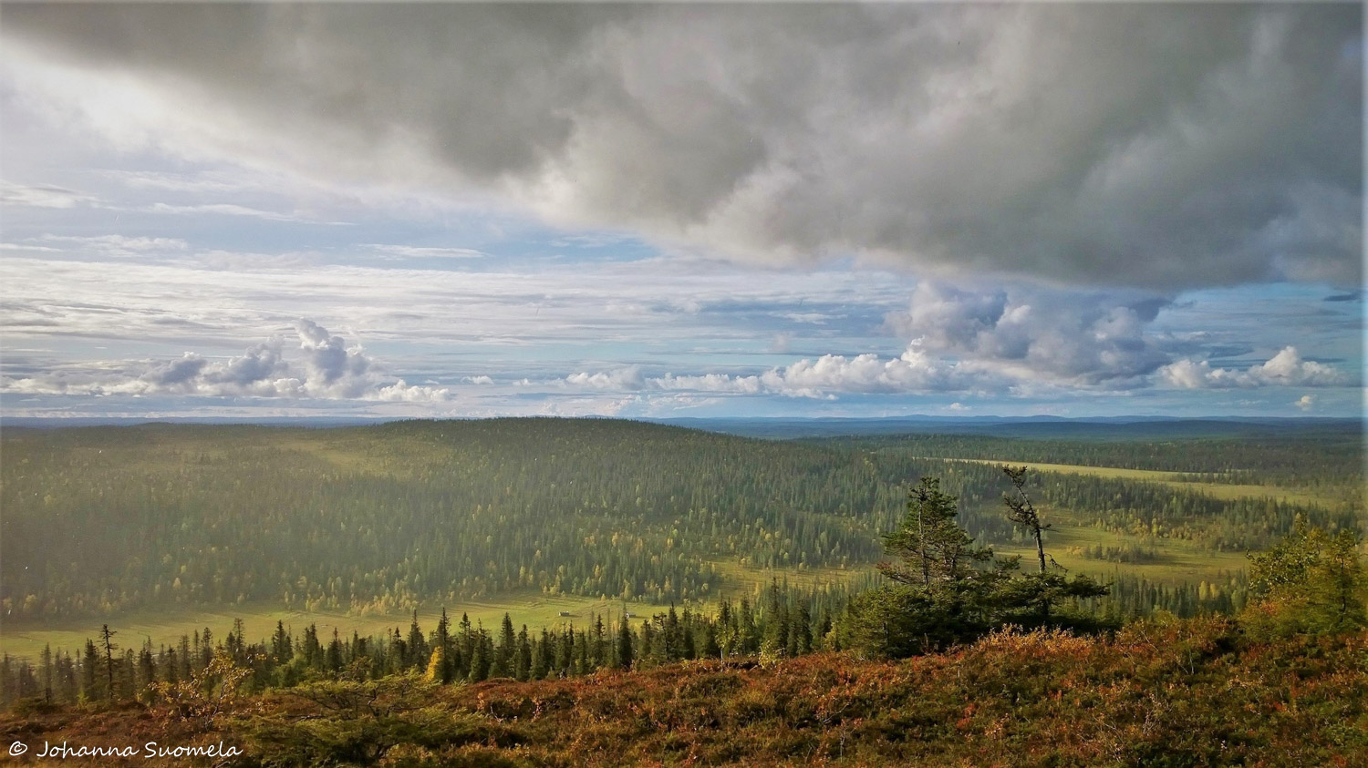 Riisitunturin kansallispuisto