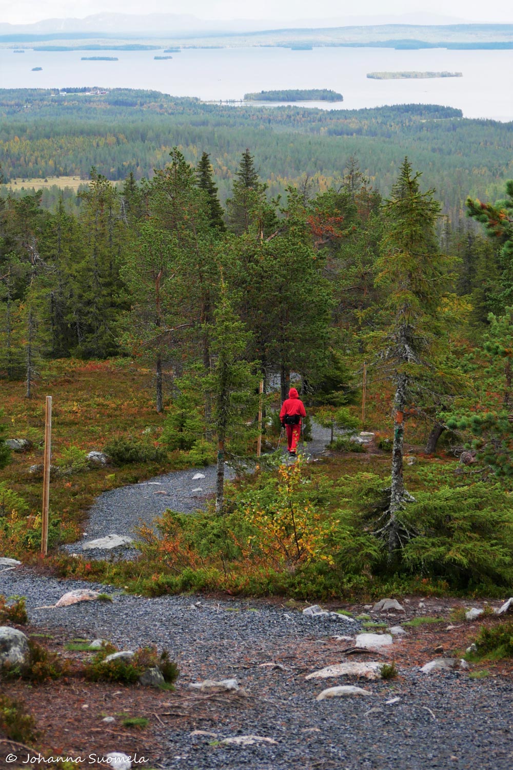 RiisitunturiP1120252