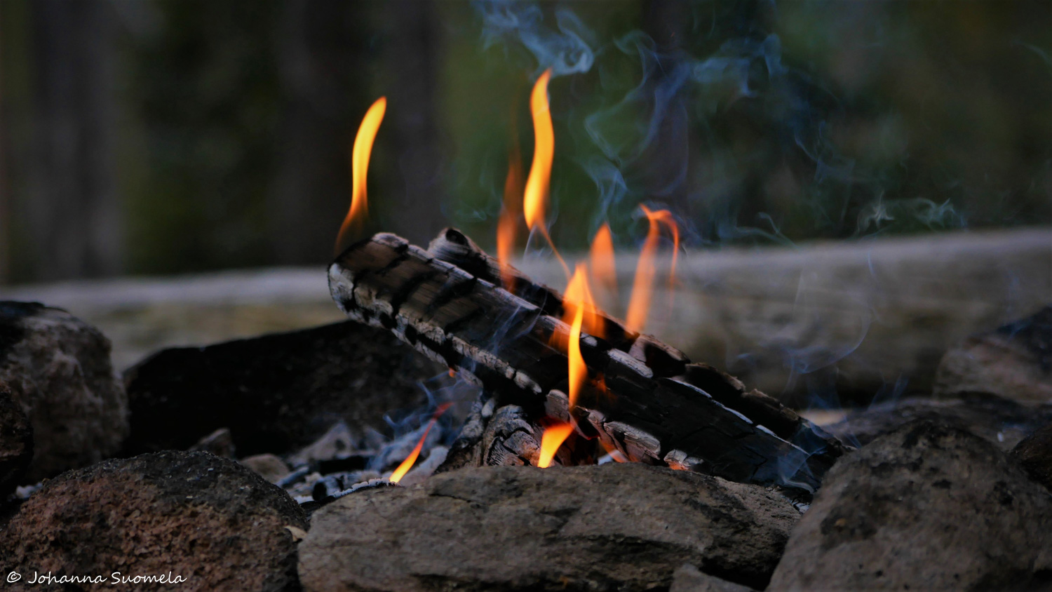 RiisitunturiP1120271