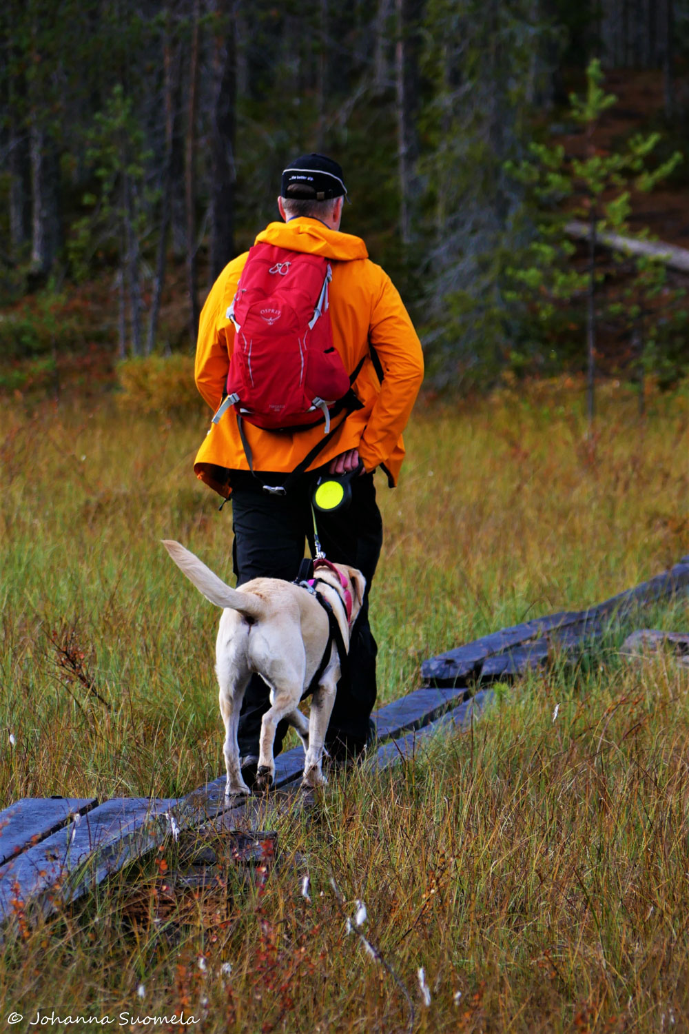 RiisitunturiP1120276