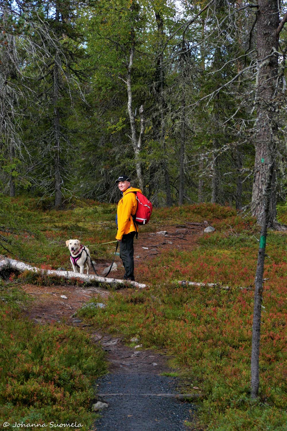 RiisitunturiP1120281