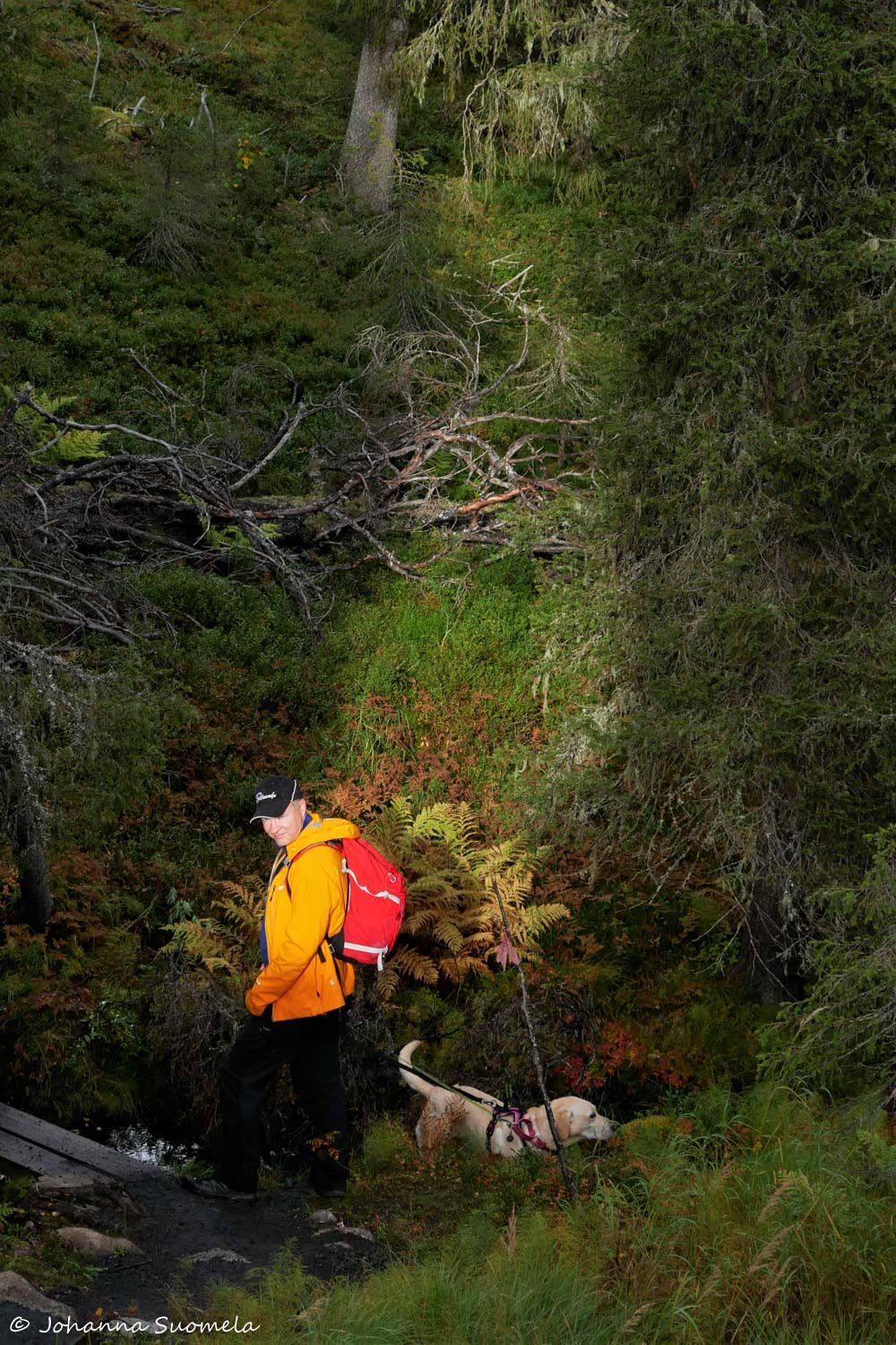 RiisitunturiP1120288