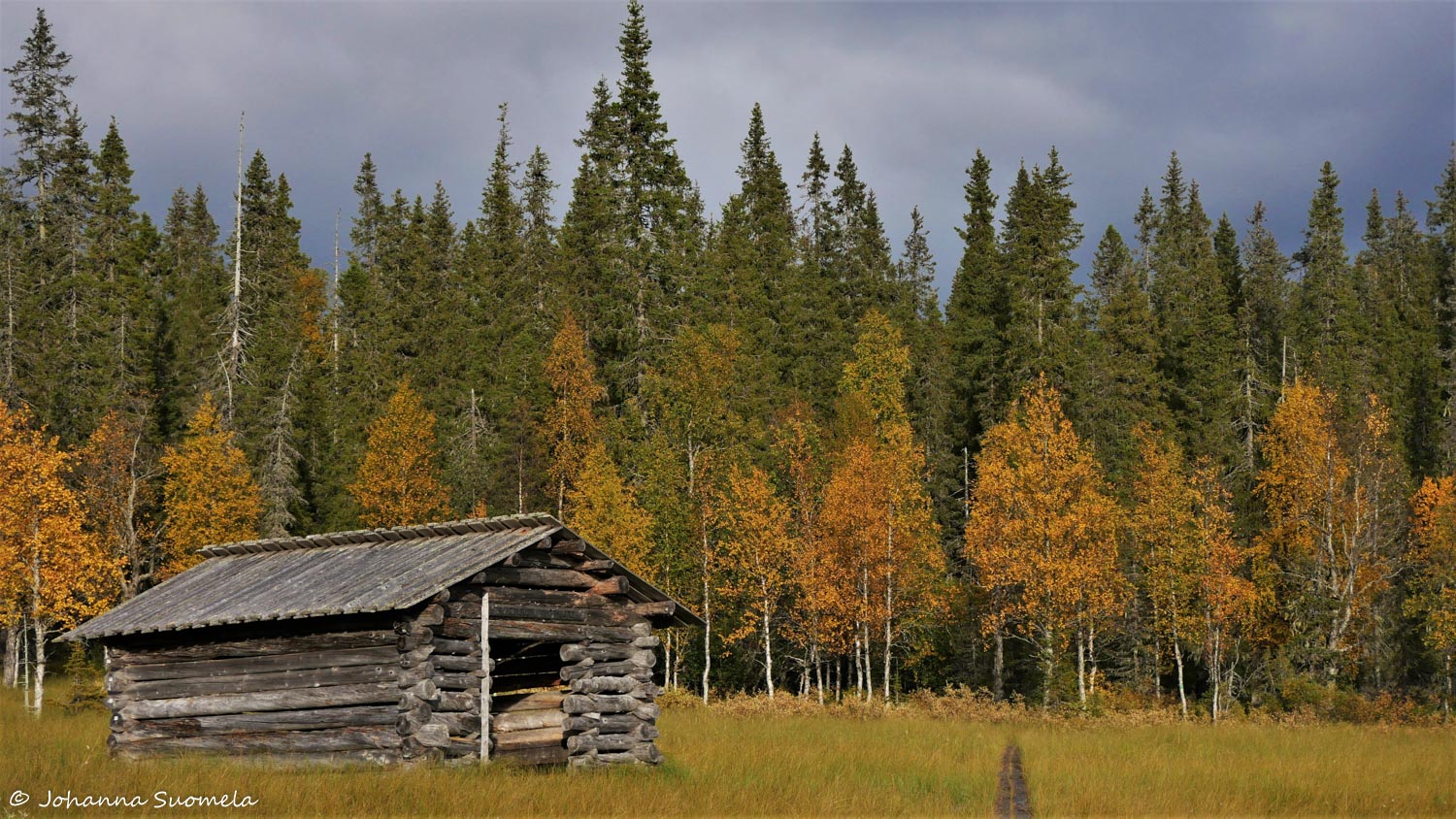 RiisitunturiP1120303