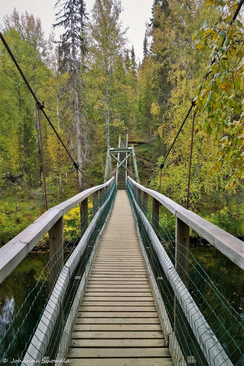 Auttikongas riippusilta