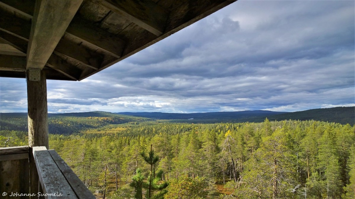 Auttikongas nakoalatorni